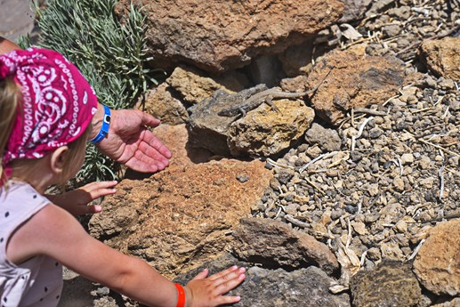 16 luglio Teide